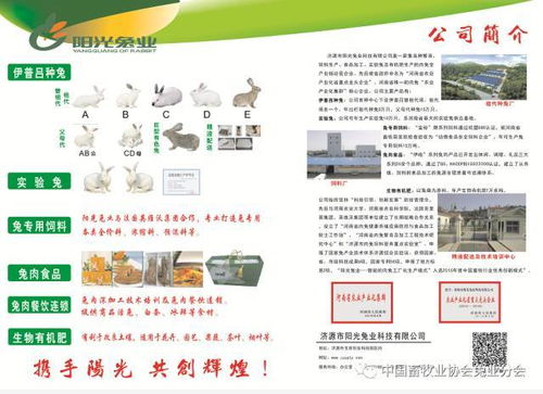第七屆2017中國(guó)兔業(yè)發(fā)展大會(huì) 行業(yè)精英齊聚，技術(shù)與服務(wù)共繪產(chǎn)業(yè)藍(lán)圖