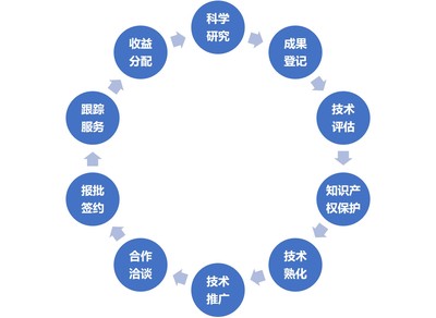 技術(shù)轉(zhuǎn)移、技術(shù)服務(wù)與技術(shù)推廣 驅(qū)動(dòng)創(chuàng)新的三駕馬車